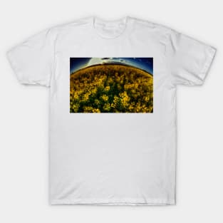 Essex Rapeseed Field T-Shirt